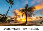 Panoramic Tropical Sunrise From ...