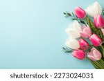 Mother's Day concept. Top view photo of bouquet of white and pink tulips on isolated pastel blue background with copyspace