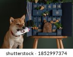 Shiba inu dog inspects an advent calendar with handmade treats and eco toys for dog. DIY concept
