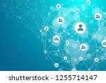 global network connection... | Shutterstock .eps vector #1255714147