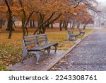 The Empty Benches And Trees In...