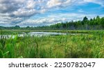 Small photo of A stream fed pond surrounded by healthy, natural wetlands and forest in the Eastern Townships of southern Quebec, Canada.