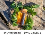 Ballota nigra, black horehound fresh flowers collected in meadow and a ready-made elexir or medicinal drink in a transparent jar. collect herbs for preparation of tincture. mortar to rub flowers.