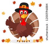 Turkey In Hat Shows Like On A...