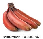 Red bananas close-up on a white background. Isolated