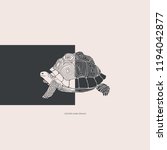 Vector Illustration.sea Turtle...