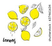 Vector Hand Drawn Lemon....