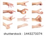 close up multiple hand in... | Shutterstock . vector #1443273374