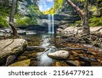 The stream of the forest waterfall. Waterfall stream in forest. Forest waterfall landscape. Waterfall pool in forest