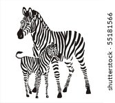 zebras | Shutterstock .eps vector #55181566