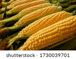 Row Of A Corn On The Cob.