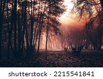 Small photo of Strangers park. Mysterious fairy forest. Dark fantasy wallpaper. Stranger trees in the mist. Scary atmosphere. Mysterious road. Mystical forest in a fog. Dark scary park with leaves.