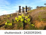 Small photo of Bark Beetle Insect Cone Traps in Famous Torrey Pines State Park with Desert Cactus Plants in Foreground. San Diego California Southern USA