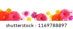 gerbera and and cosmos flowers... | Shutterstock . vector #1169788897