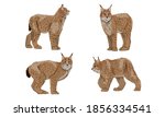 Set Of Realistic Eurasian Lynx...