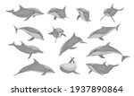 Common Bottlenose Dolphin Set....