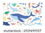 set of sea and ocean underwater ... | Shutterstock .eps vector #1929699557