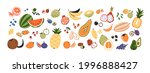 set of different fruits and... | Shutterstock .eps vector #1996888427