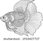 betta fish coloring page design ... | Shutterstock .eps vector #1910427727