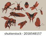 Big Set Of Flying Insects With...