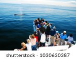 Small photo of Provincetown, MA, USA July 5 A group on a whale watching cruise near Provincetown, Massachusetts, crowd the bow of a ship, straining to catch sight of a spout whale breaching the surface