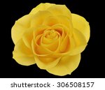 Close Up Beautiful Yellow Rose...