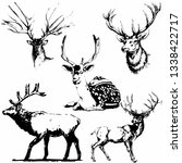 Elk Set Vector Illustration....