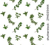thyme seamless pattern with... | Shutterstock .eps vector #294035444