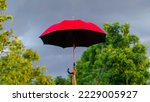 Small photo of woman holding a big red umbrella On the day when the sky was overcast, it seemed like a storm was about to happen.
