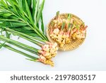 Small photo of Bamboo sieve filled with fresh tender ginger