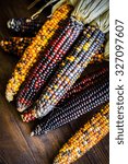 Multicolored Indian Corn On...