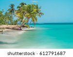 Palm trees at a beach in Samana, Dominican Republic.