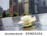 A single Rose that is left by someone's name at the 9/11 memorial in New York City