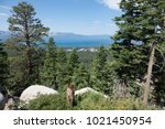 View Of Lake Tahoe From Tahoe...