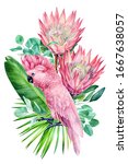 Watercolor Pink Parrot And...