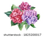 Bouquet Of Hydrangea Flowers On ...