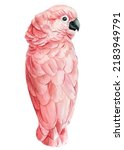 Cockatoo Watercolor...