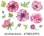 Set Of Watercolor  Pink Flowers ...