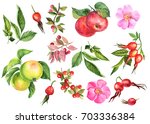 painting watercolor  autumn set ... | Shutterstock . vector #703336384