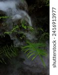 Small photo of Enigmatic Rainforest Mystique rainforest with smoke and fern leaves and plants