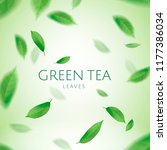 green tea leaves flying in the... | Shutterstock .eps vector #1177386034
