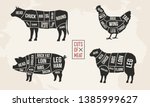 Set Of Meat Diagrams. Cuts Of...