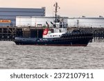 Small photo of THURROCK, ESSEX, UK - SEPTEMBER 27, 2023: Boluda Towage Europe's SD Dolphin, a 70 to 100 tons bollard pull tug, moored at Thames Haven, by the Petroplus Corytown and London Gateway complexes.