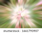 Blurred Roses Background....