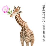 Small photo of Giraffe face head hanging upside down. Curious gute giraffe with flower peeks from above. Gift for you concept. Funny giraffe with a flower in its mouth. Isolated on white background