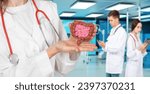 Small photo of Intestinal tract. Doctor hands with model of intestine. Medicine gastroenterology. Girl doctor in white coat. Study of intestinal tract. Doctors at clinic study digestion. Art blurred.