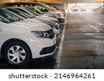 Raw of white cars in a car park or dealership. Car sale industry. Simplification and cost reduction concept. Popular color for a vehicle. 