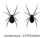 set black spider isolated on... | Shutterstock .eps vector #1179316624