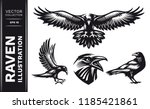 Raven Bird Collection   Vector...