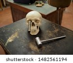 Small photo of Rovigo, Italy - August 15, 2019. Multisensory exhibition on psychiatric hospitals hosted in the former psychiatric hospital of the town. Skull representing lobotomy on patients.